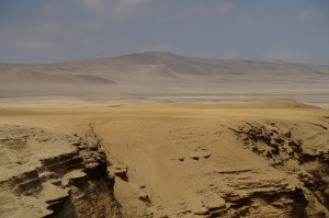 DSC05619  